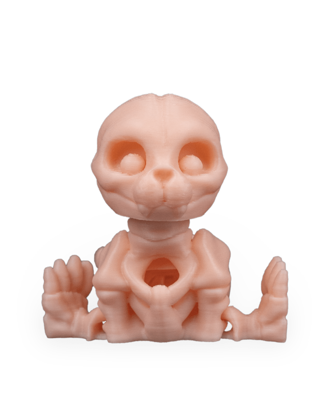 Skeleton Seal