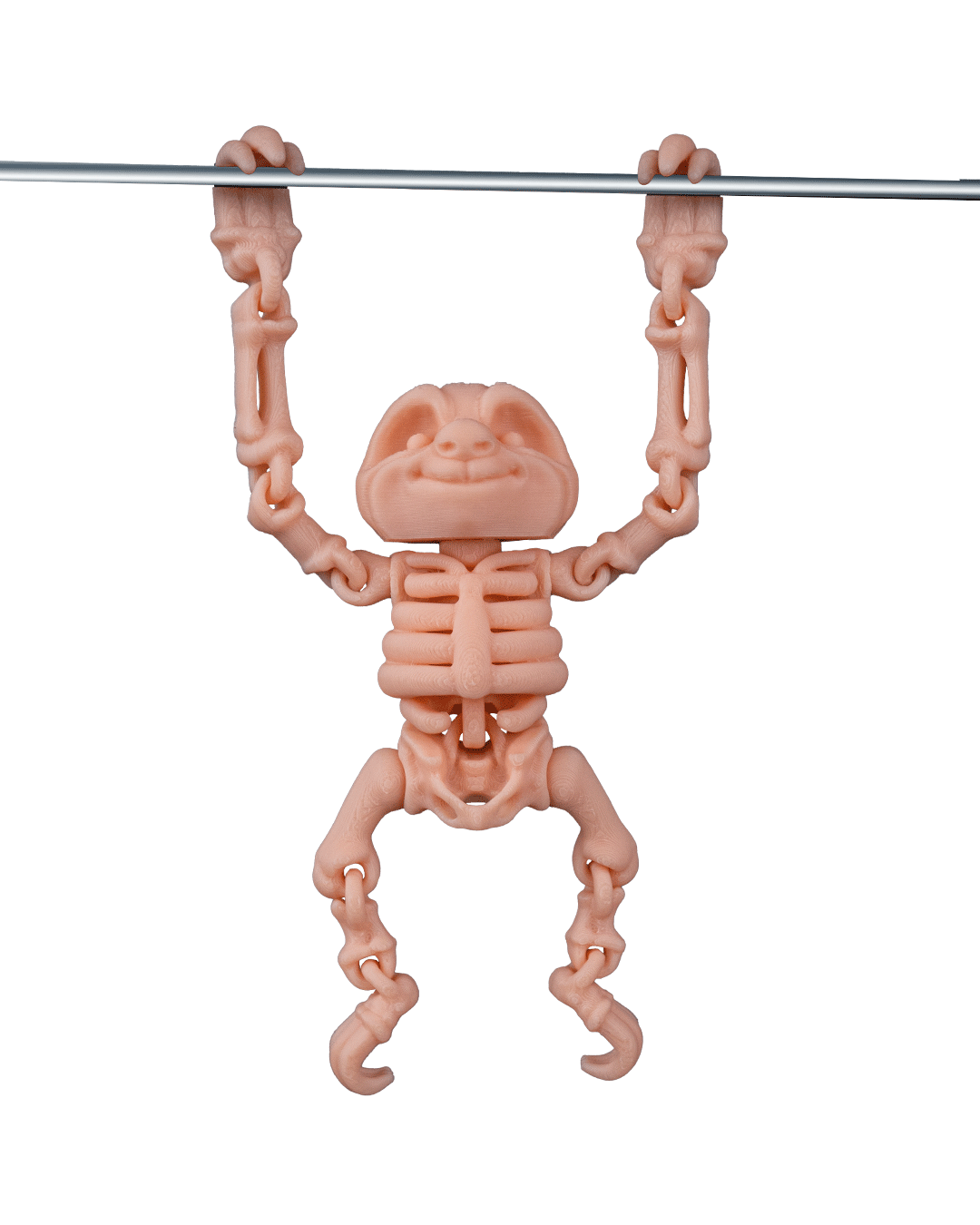Skeleton Sloth