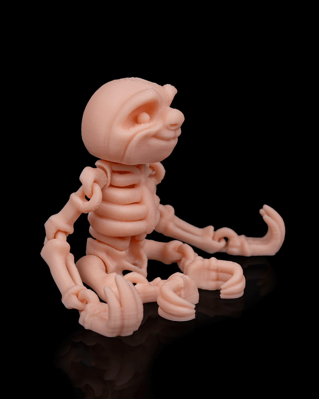 Skeleton Sloth