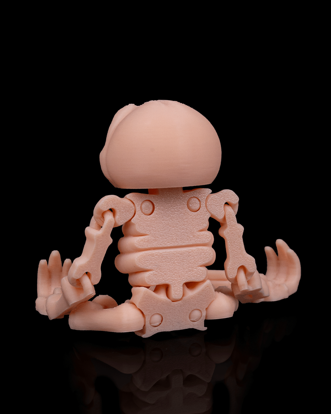 Skeleton Sloth