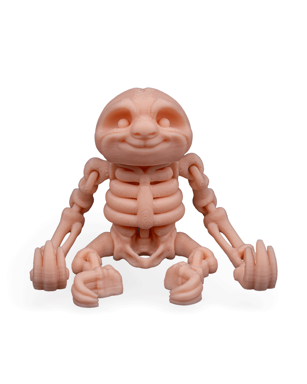Skeleton Sloth