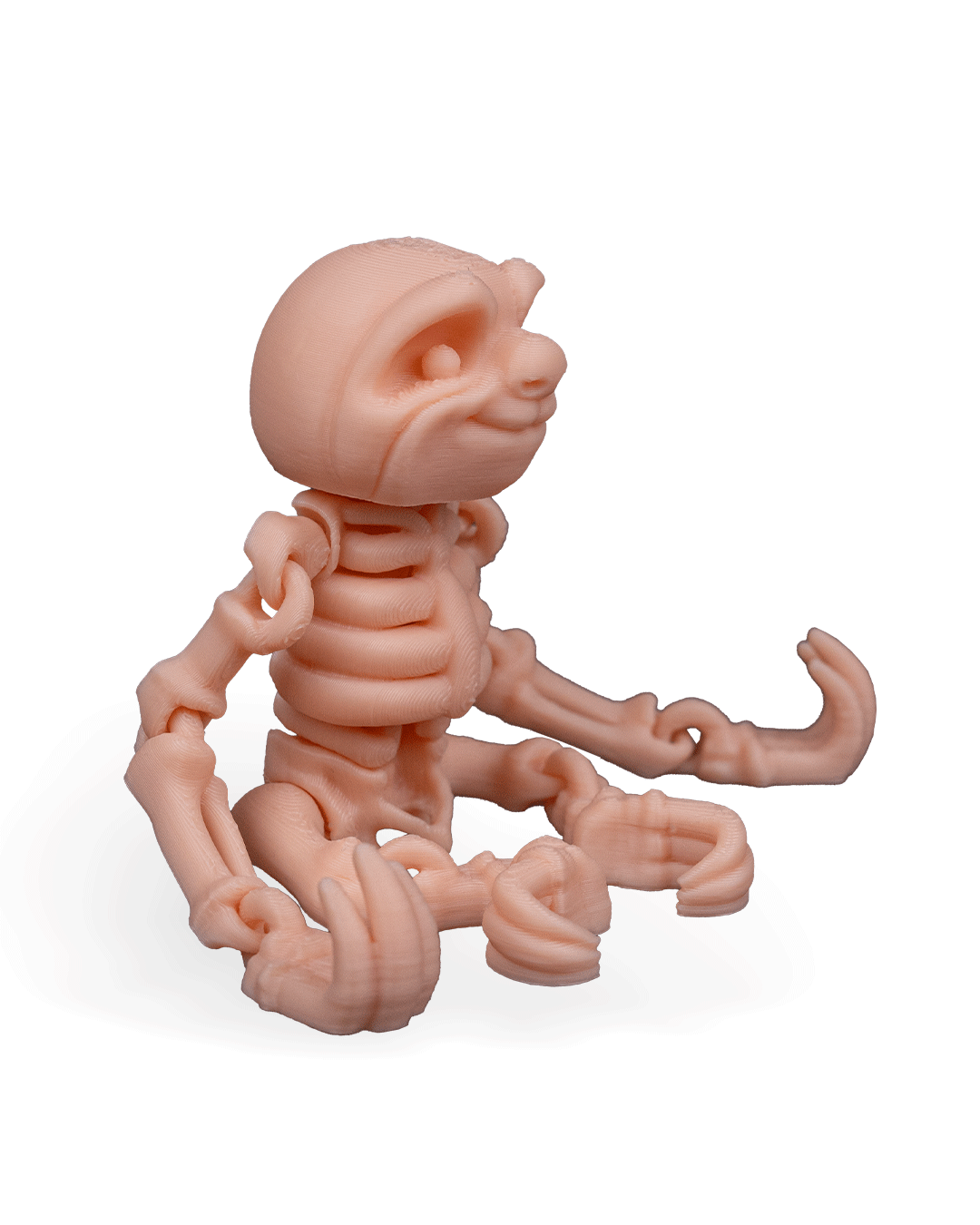 Skeleton Sloth