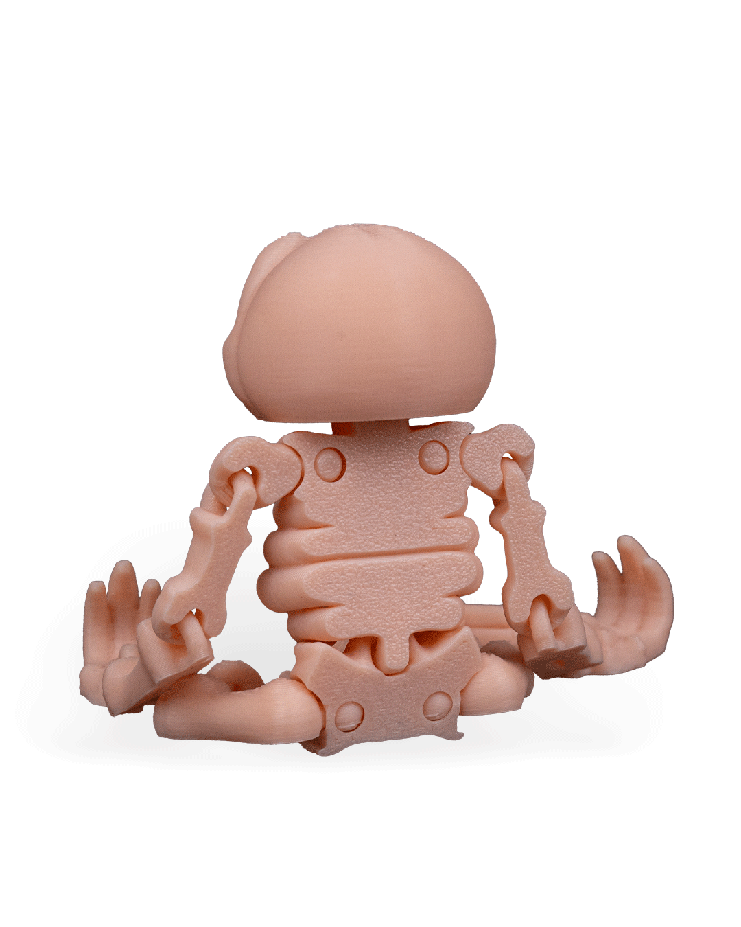 Skeleton Sloth