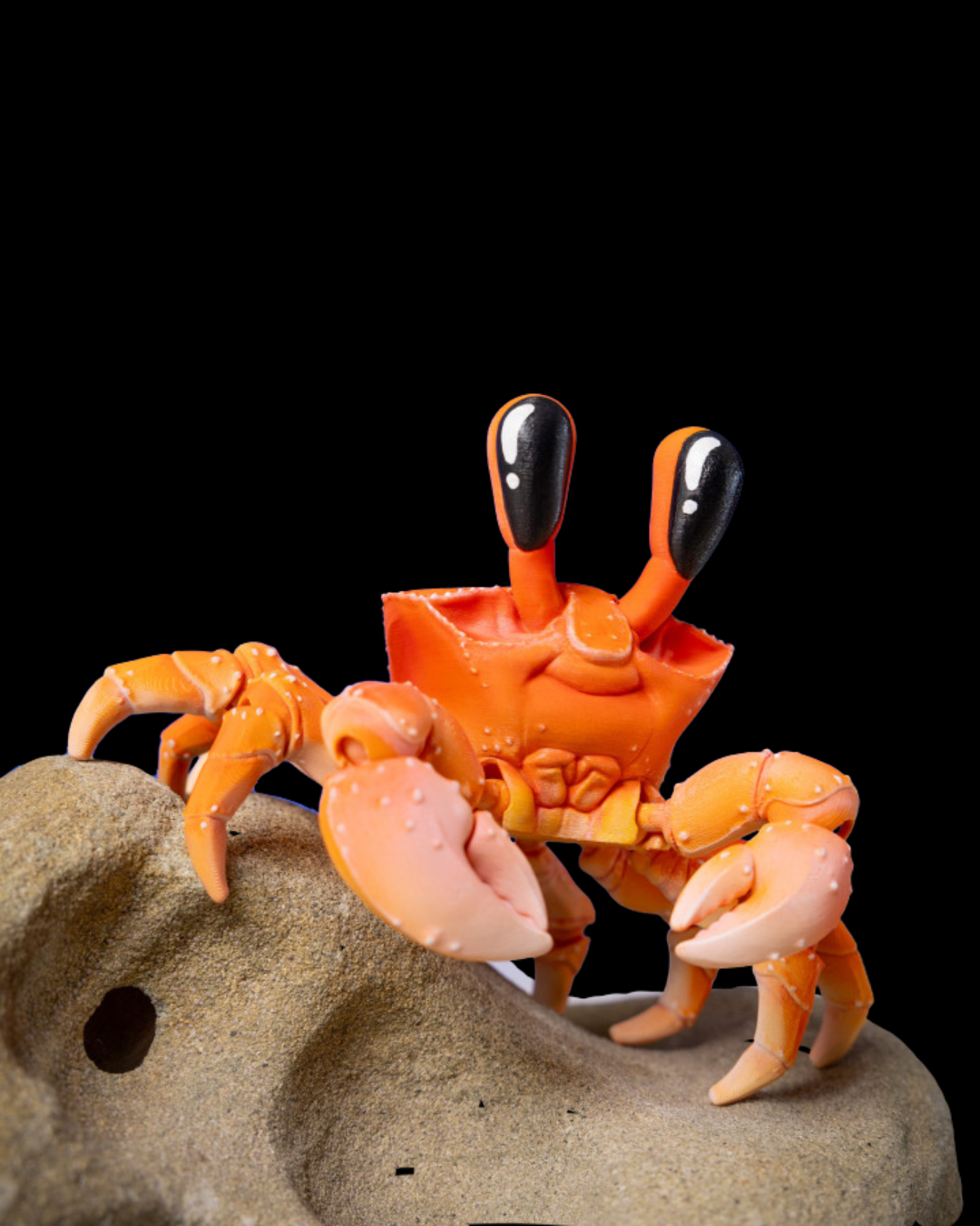 Ghost Crab