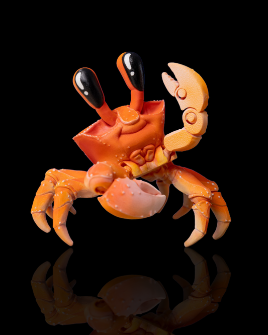 Ghost Crab