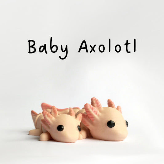 Baby Axolotl