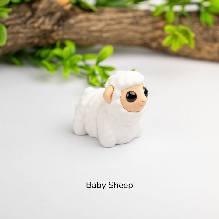 Baby Sheep
