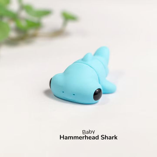 Baby Hammerhead Shark