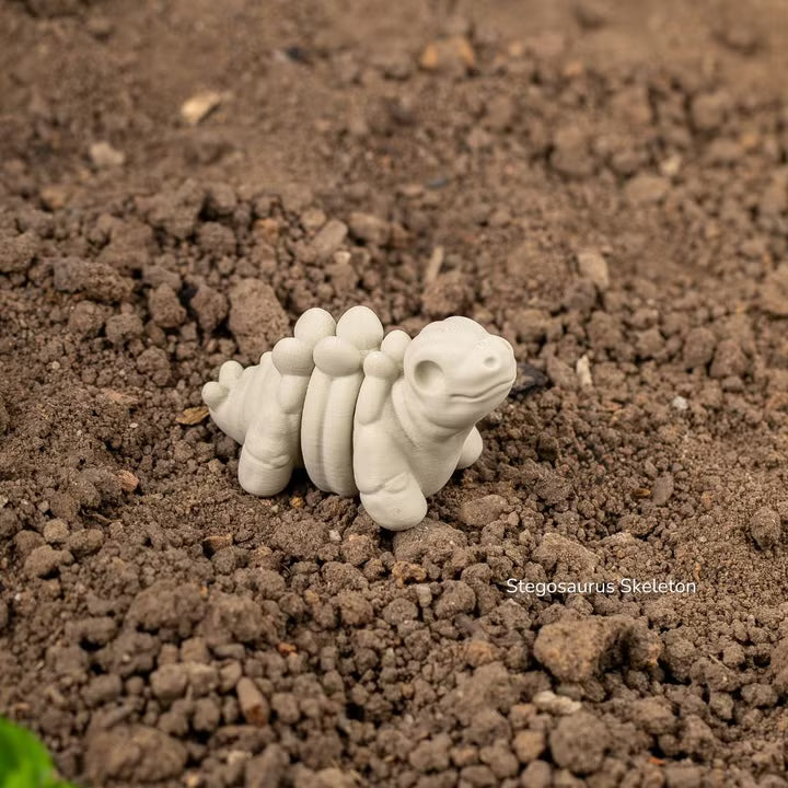 Baby Stegosaurus Skeleton