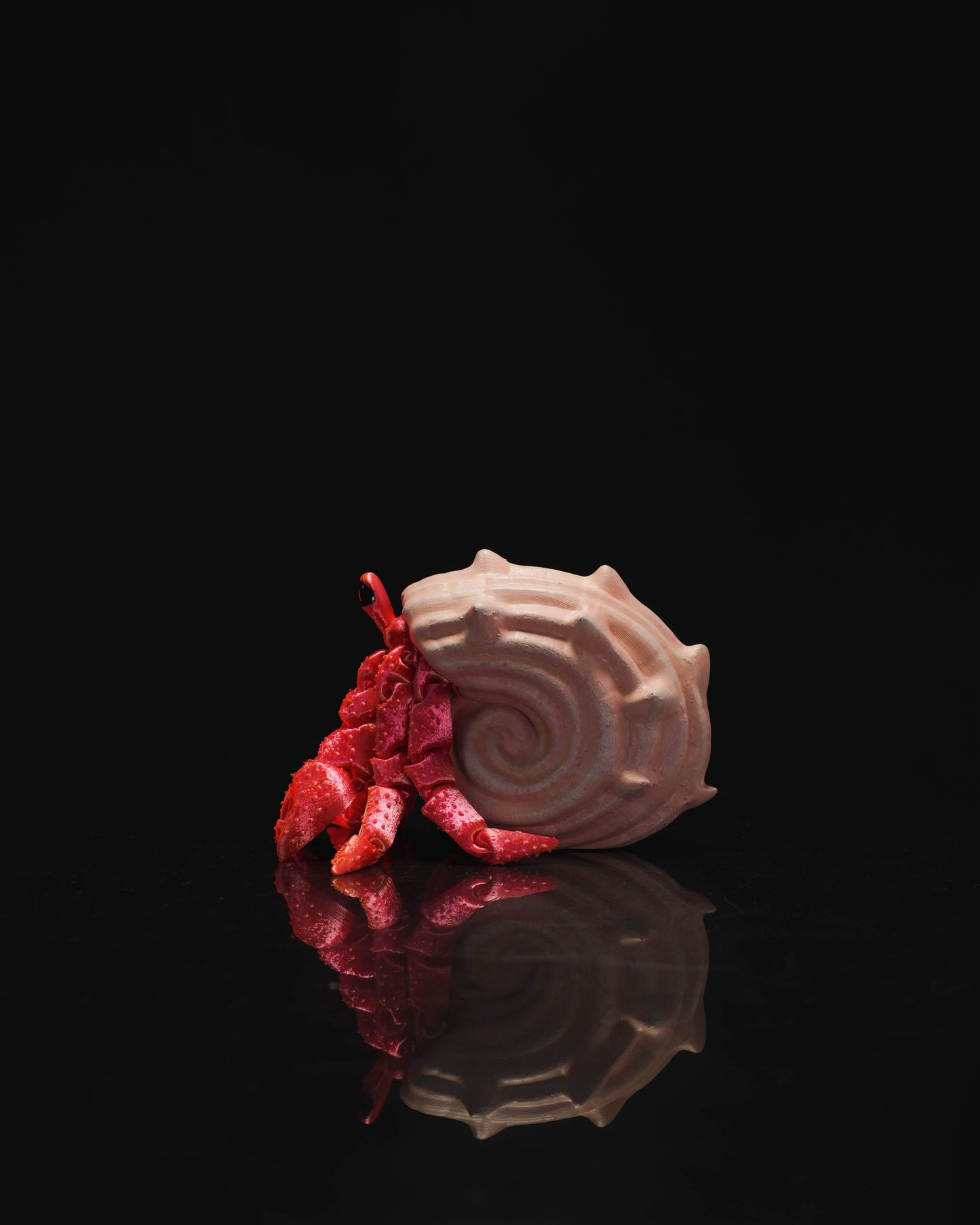 Articulated Hermes, the Hermit Crab