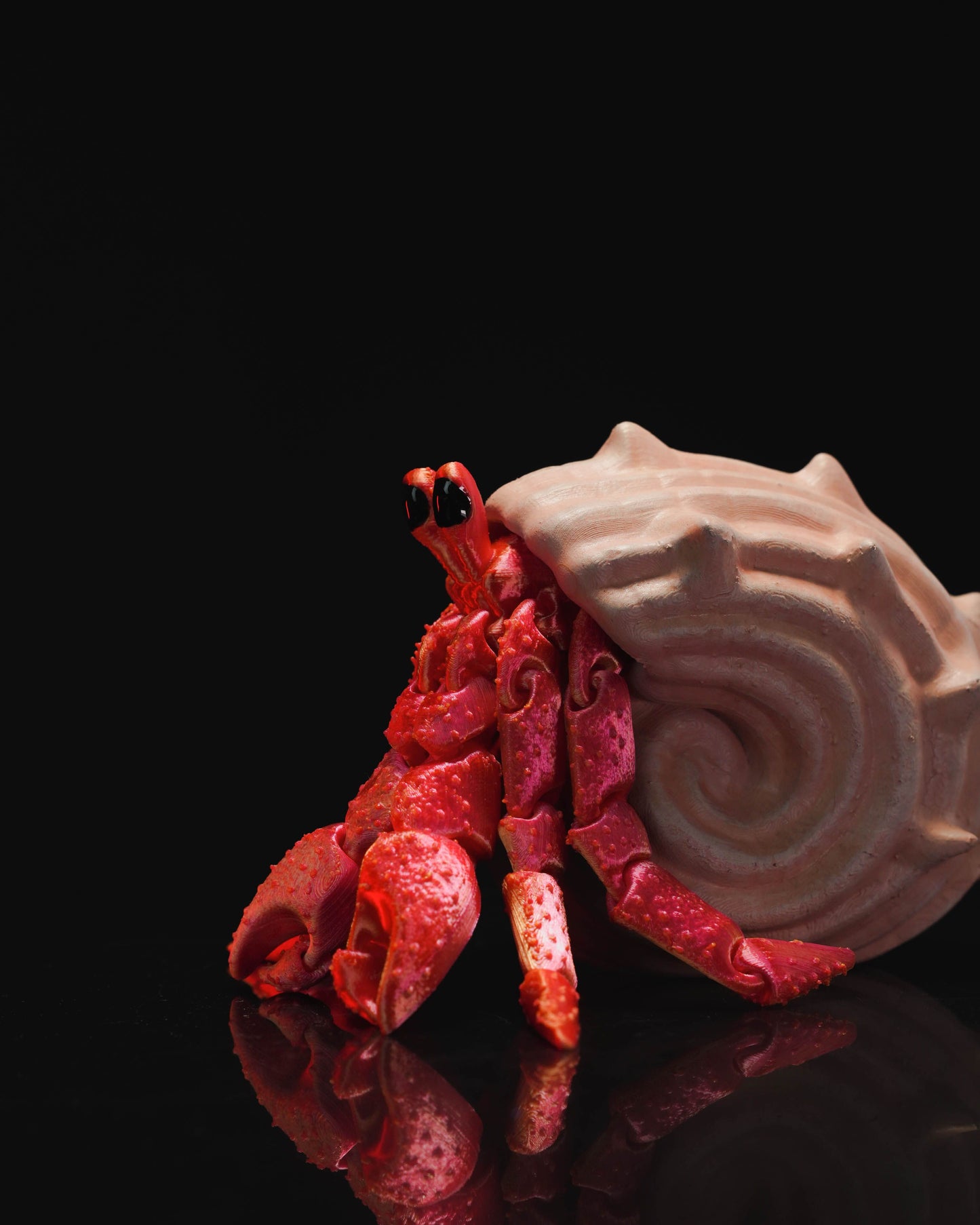 Articulated Hermes, the Hermit Crab