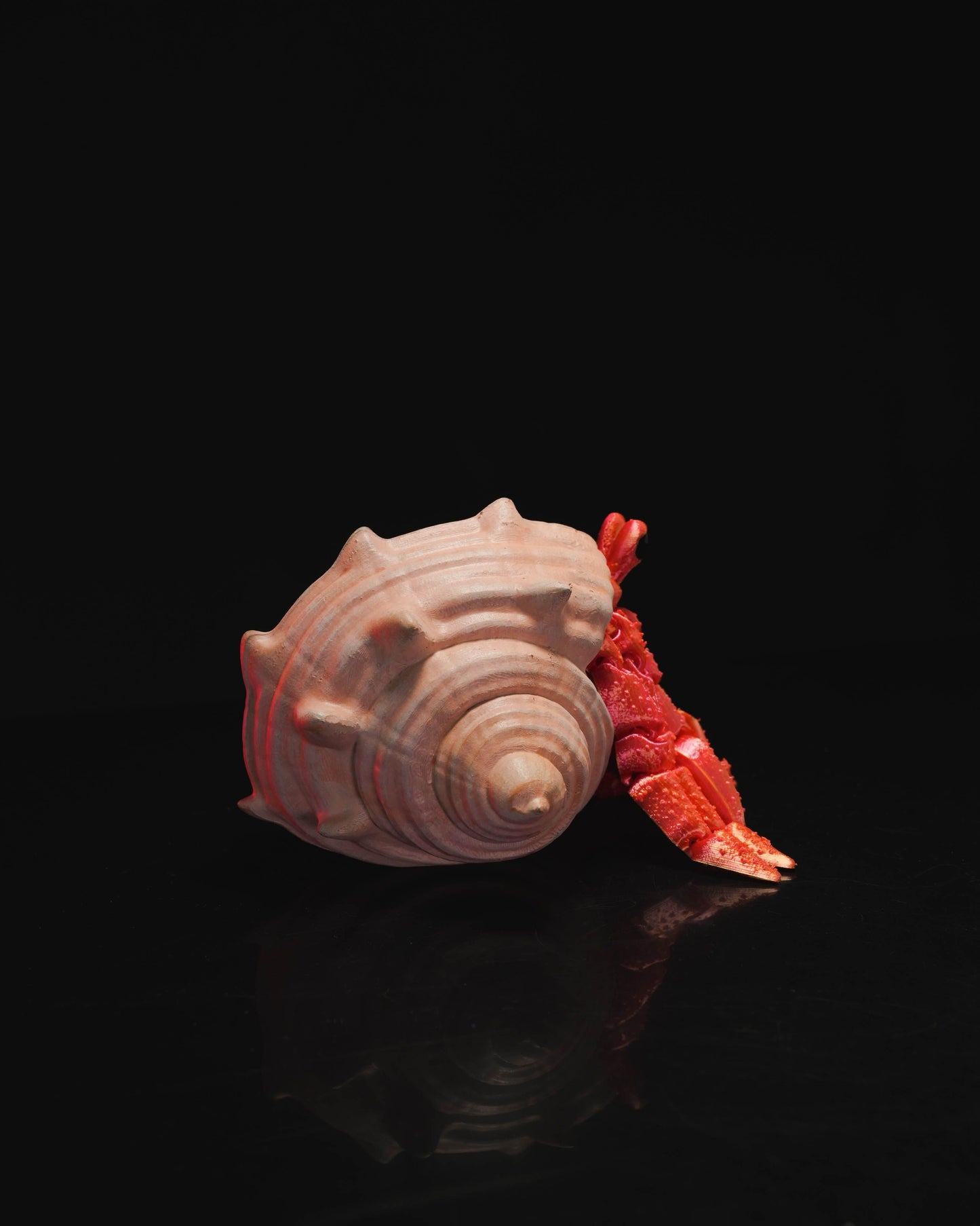 Articulated Hermes, the Hermit Crab