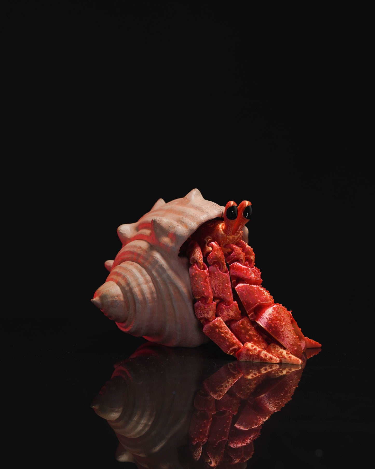 Articulated Hermes, the Hermit Crab