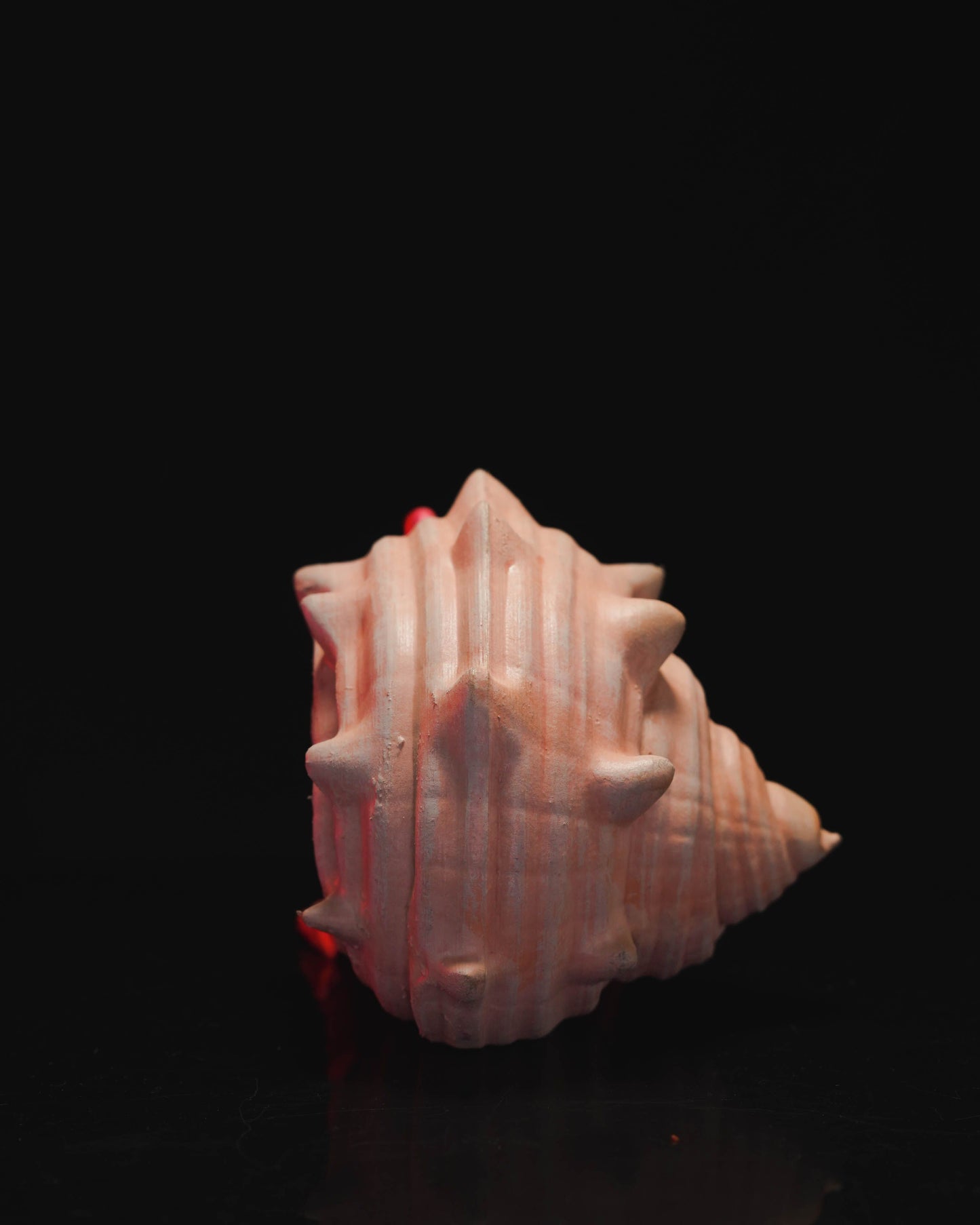Articulated Hermes, the Hermit Crab