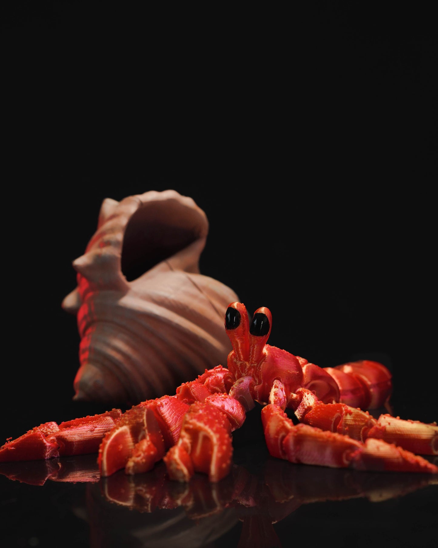 Articulated Hermes, the Hermit Crab
