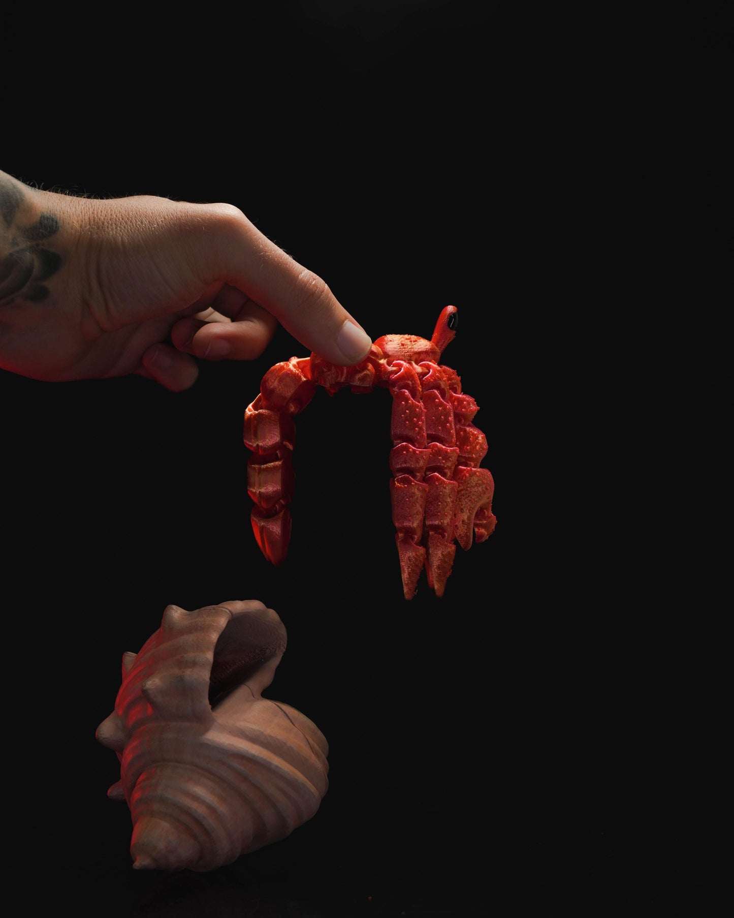 Articulated Hermes, the Hermit Crab