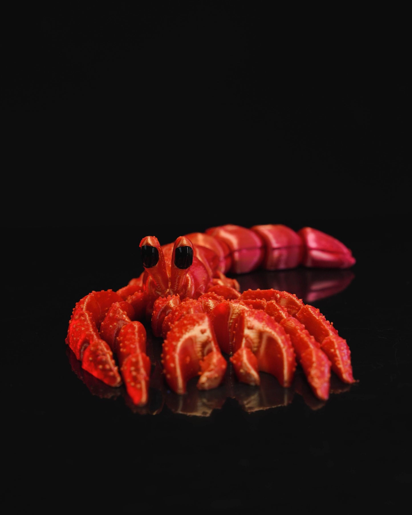Articulated Hermes, the Hermit Crab