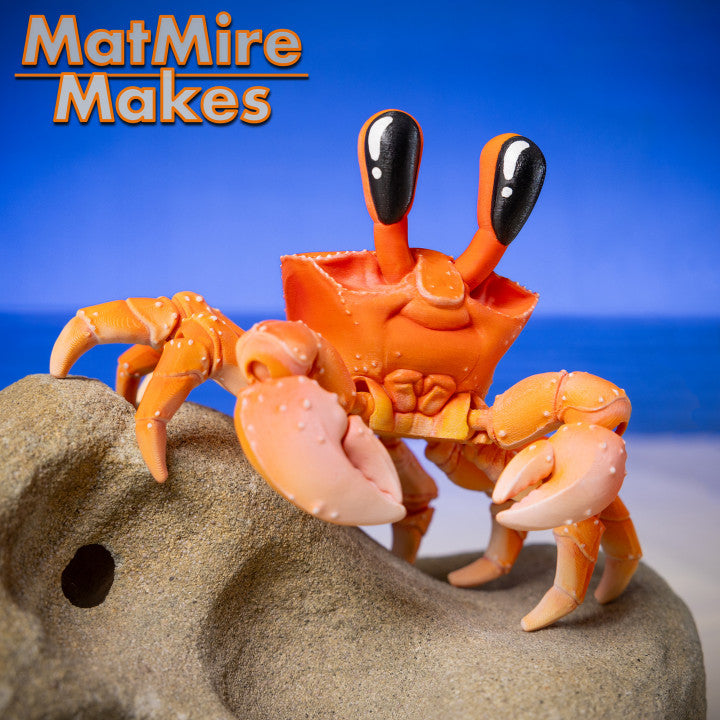 Ghost Crab