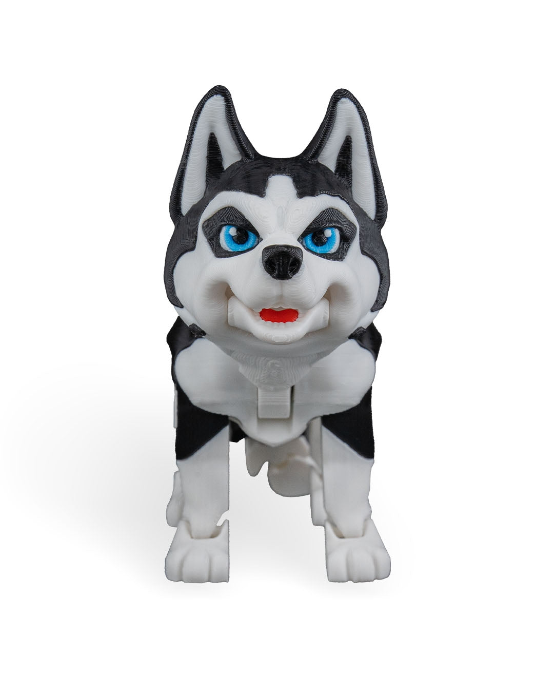 Maya, the Husky