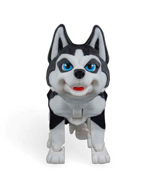Maya, the Husky
