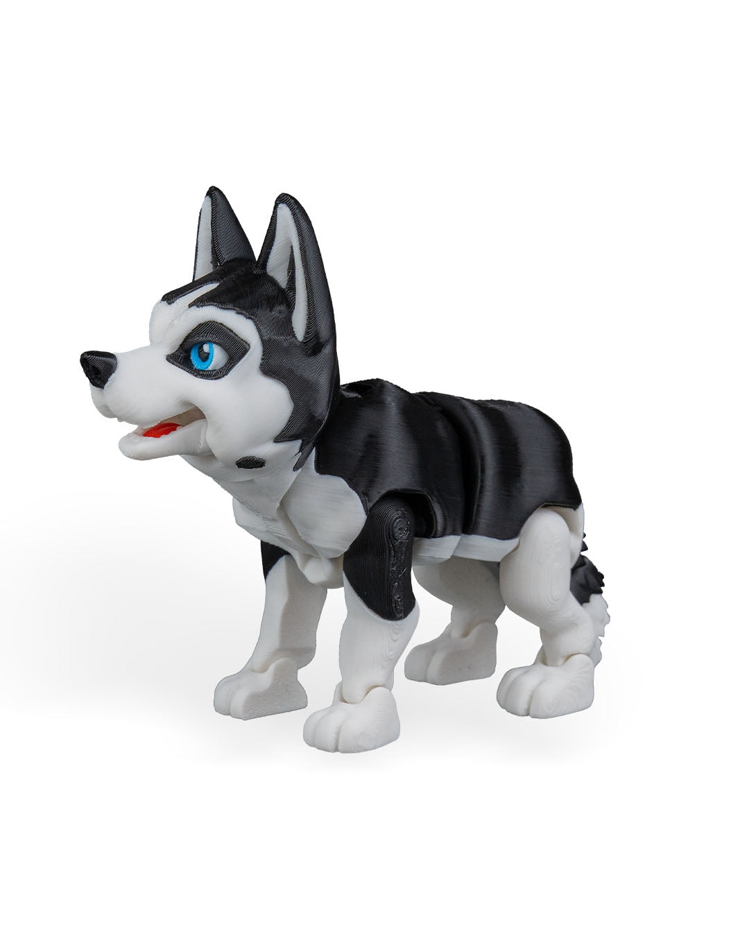 Maya, the Husky