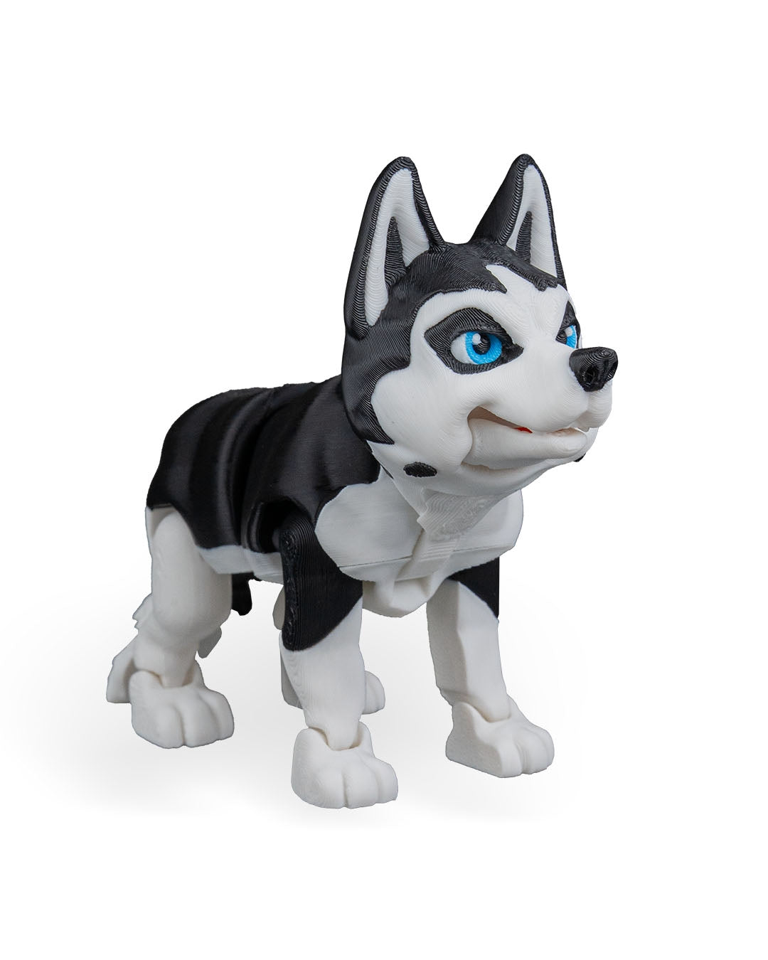 Maya, the Husky