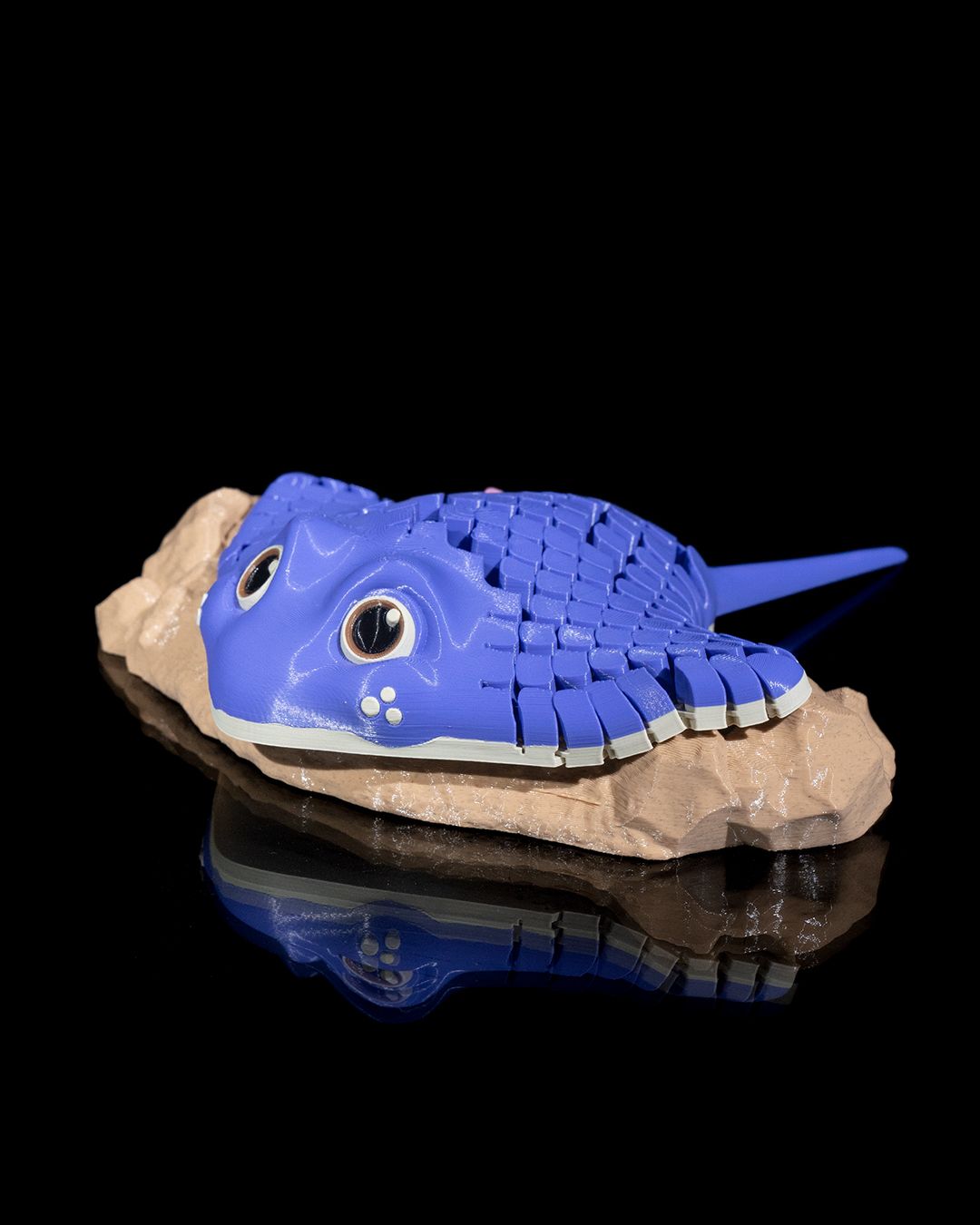 Ray the Manta Ray