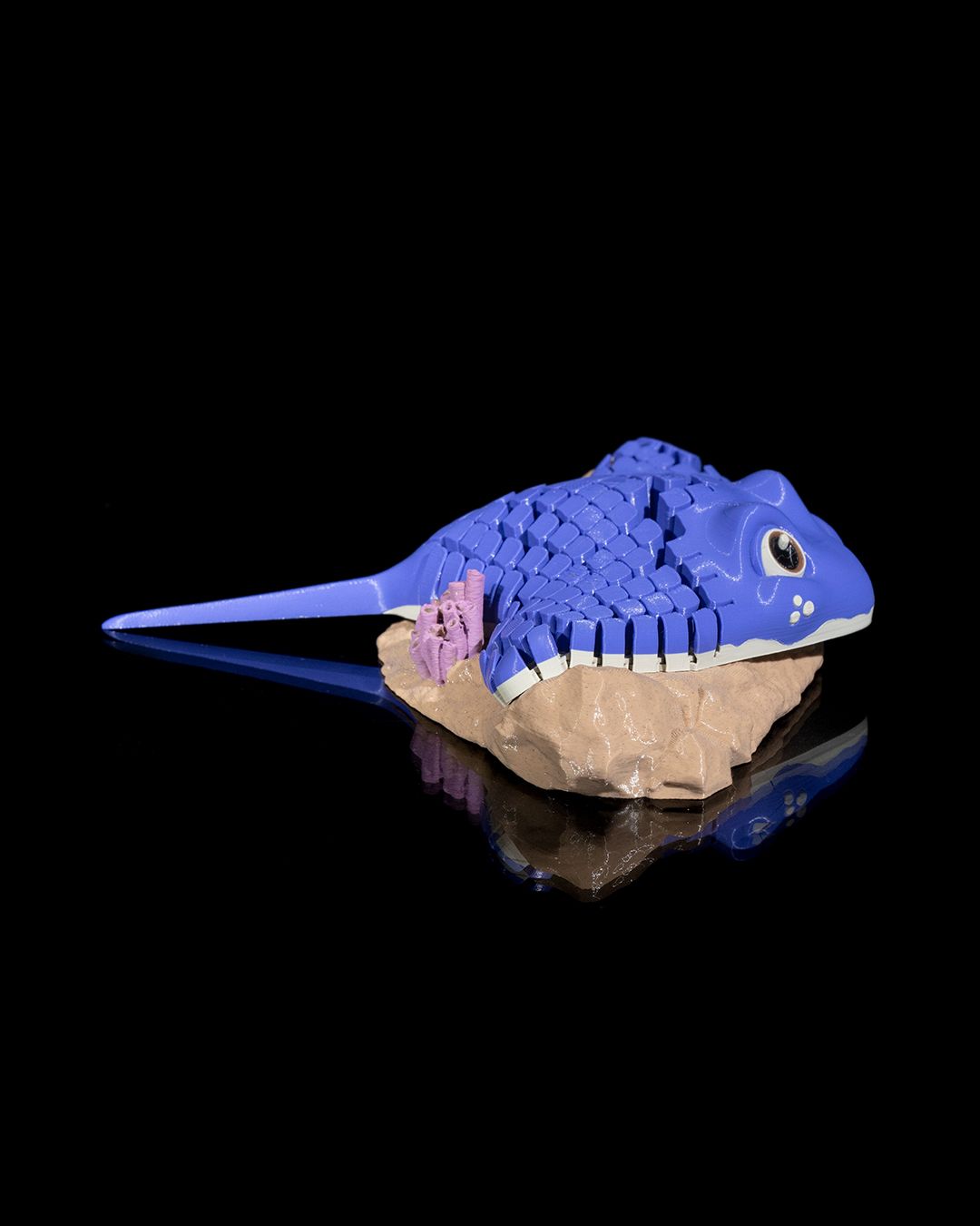 Ray the Manta Ray