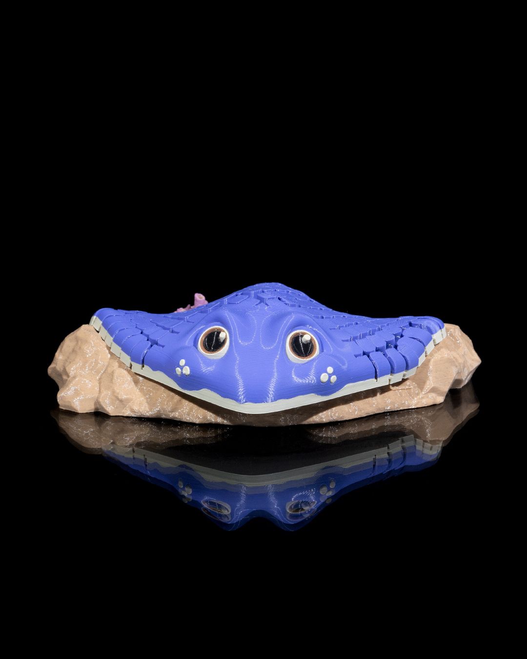 Ray the Manta Ray