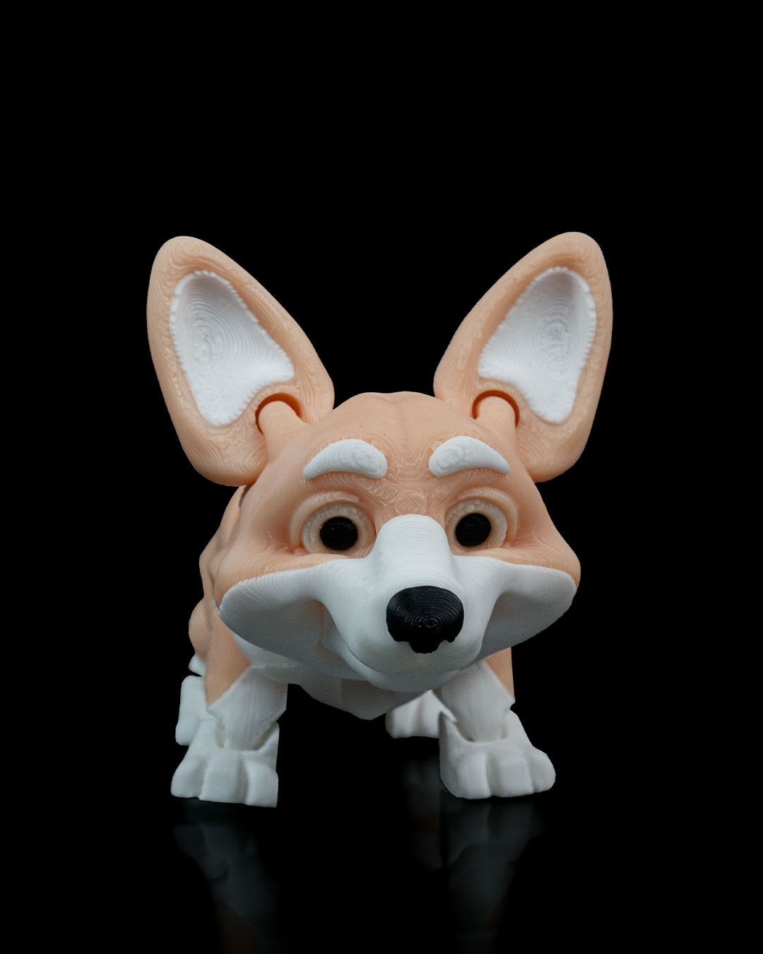 Rufus, the Welsh Corgi