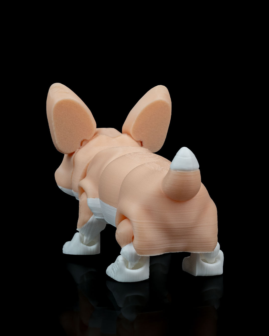 Rufus, the Welsh Corgi