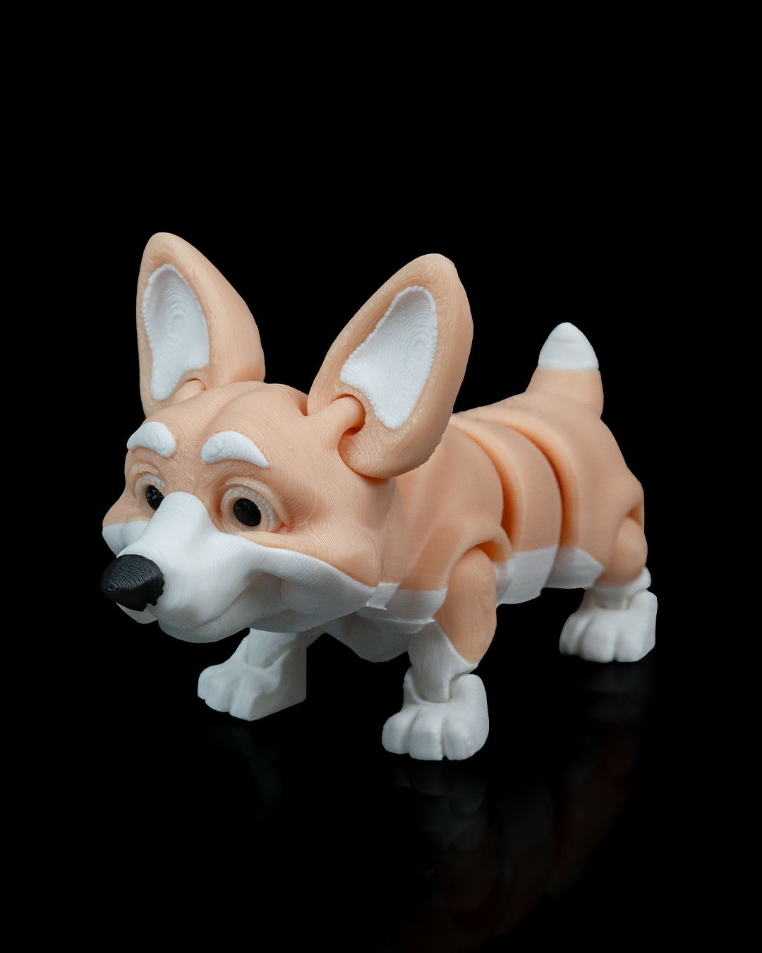 Rufus, the Welsh Corgi