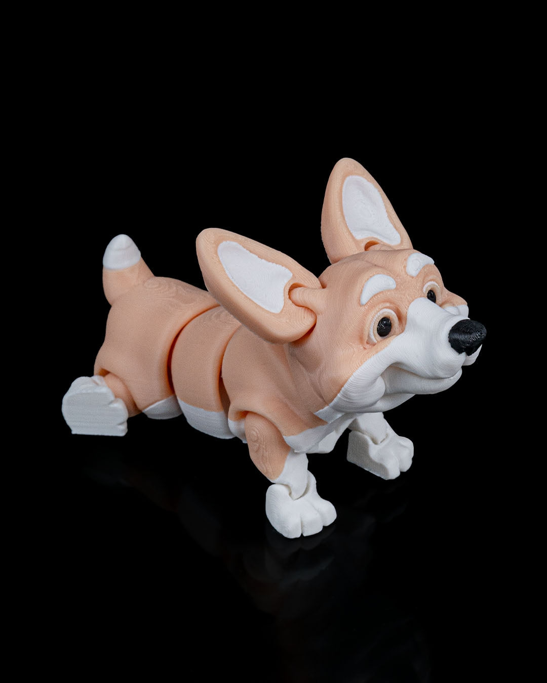 Rufus, the Welsh Corgi