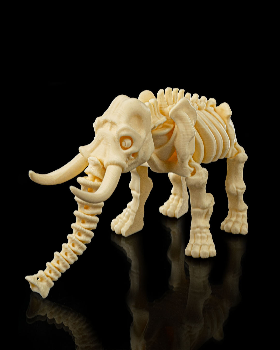 Skeleton Elephant