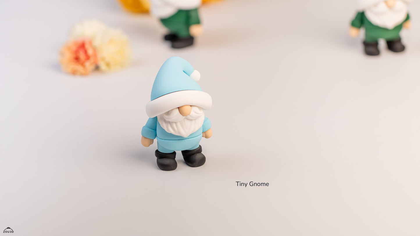 Tiny Gnome