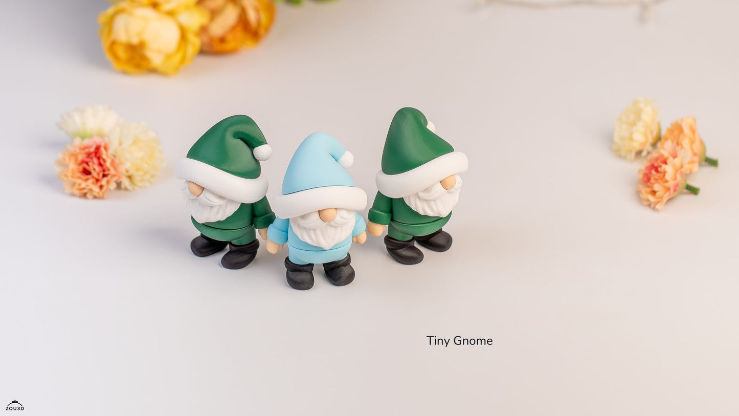 Tiny Gnome