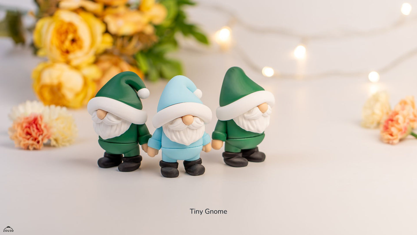 Tiny Gnome